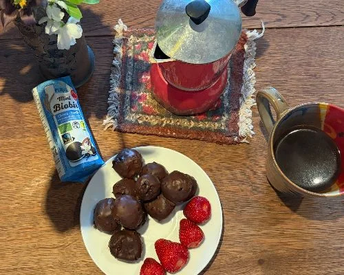 Bouchées gourmandes de Mini-Biobis choco-vanille