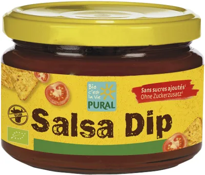Salsa Dip